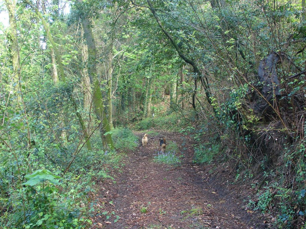 Quinta De Pindela - Natureza E Tradicao Vila Nova de Famalicão Eksteriør bilde
